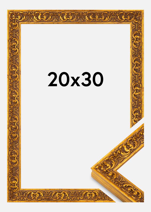 Rėmas Amber Akrylglas Auksas 20x30 cm