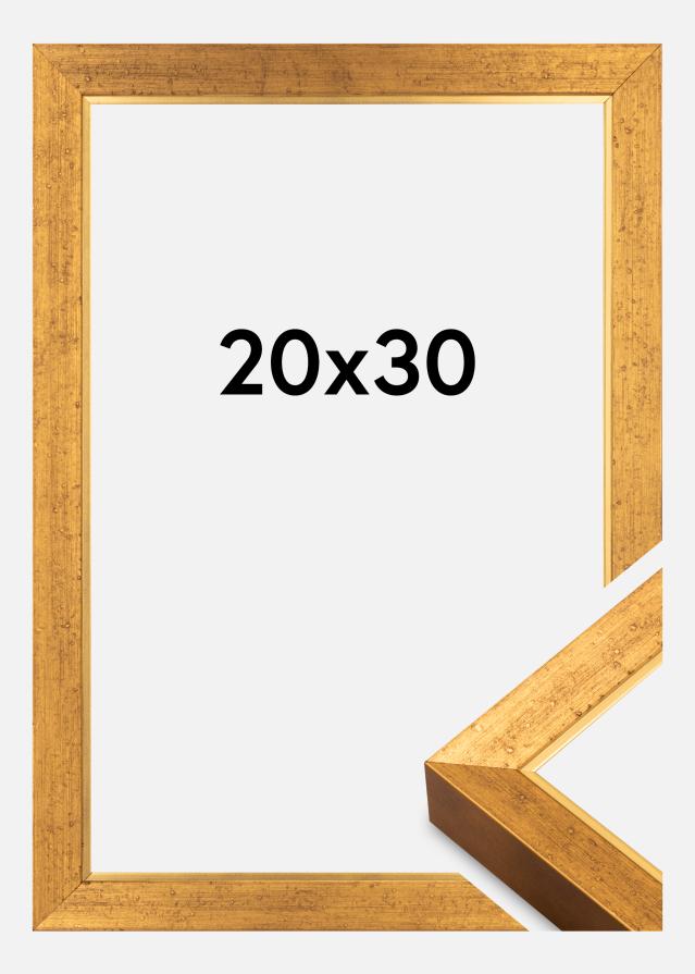 Rėmas Brema Akrilinė medžiaga Auksinė 20x30 cm