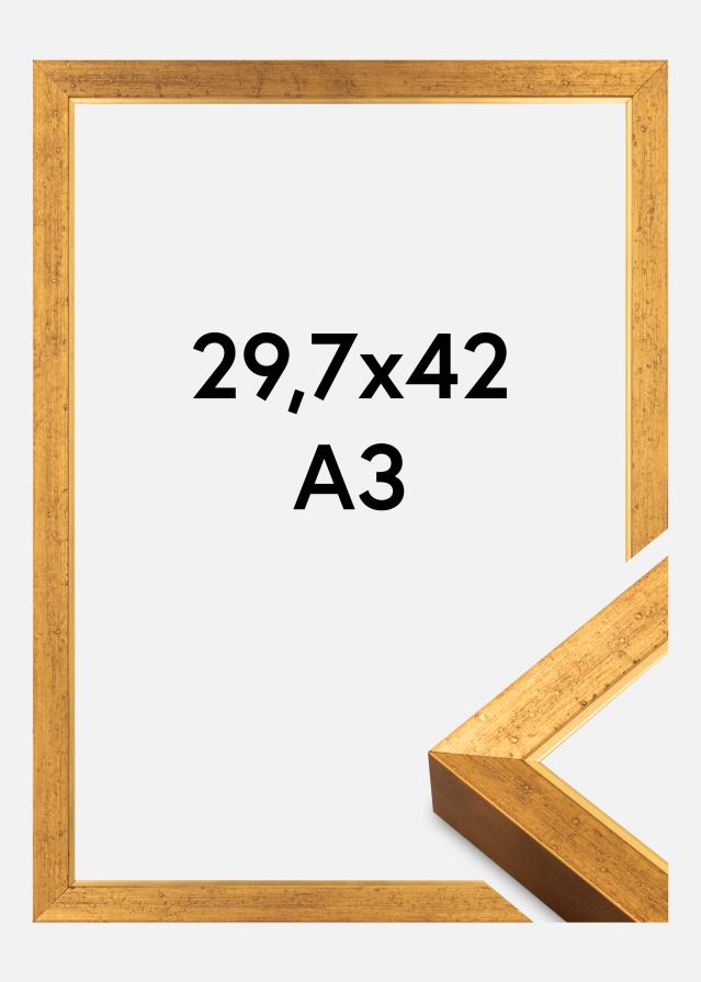 Rėmas Brema Akrilo stiklas Auksinis 29,7x42 cm (A3)