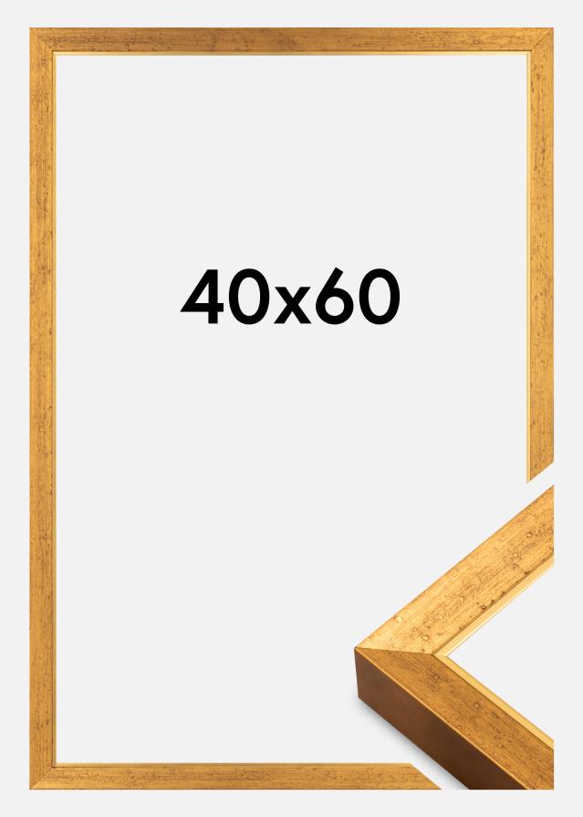 Rėmas Brema Akrilinė stiklė Aukso 40x60 cm
