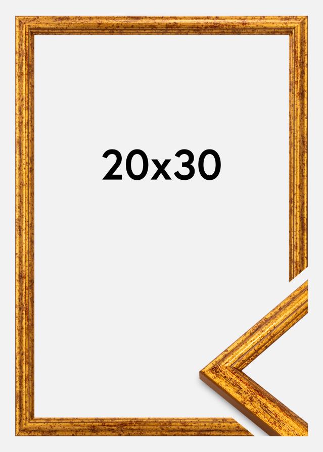 Rėmas Claudia Akrylglasas Auksinis 20x30 cm
