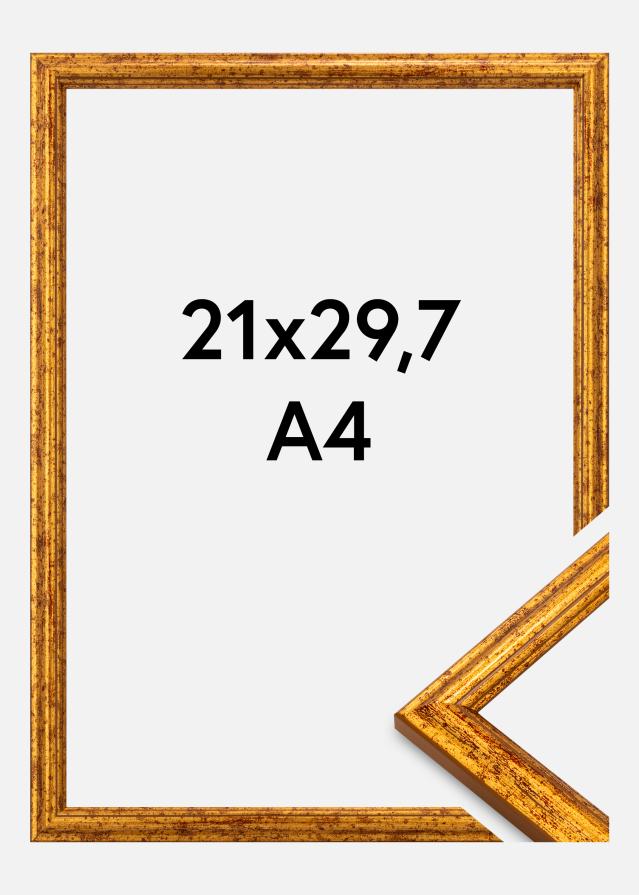Rėmas Claudia Akrilo stiklas Auksinis 21x29,7 cm (A4)