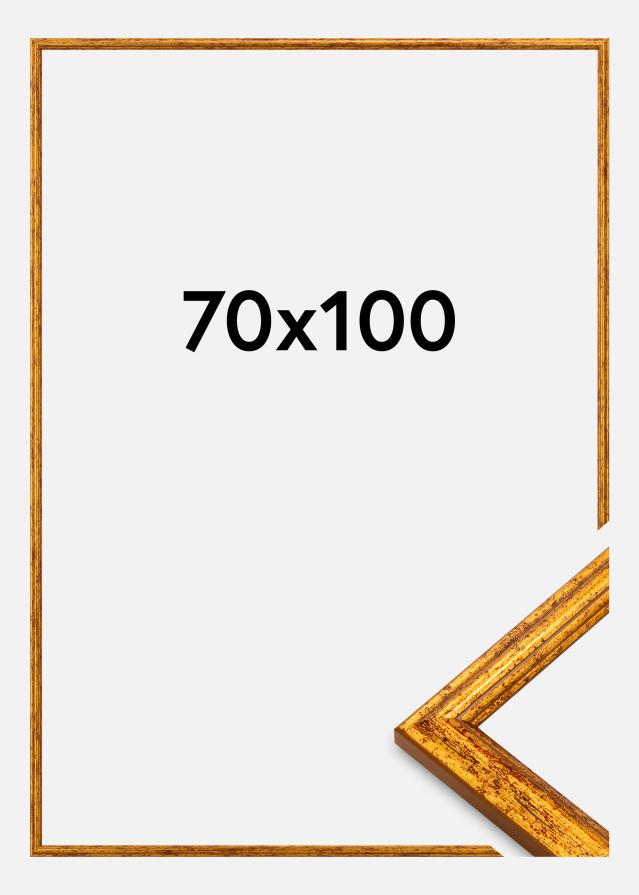 Rėmas Claudia Akrylglas Aukso 70x100 cm
