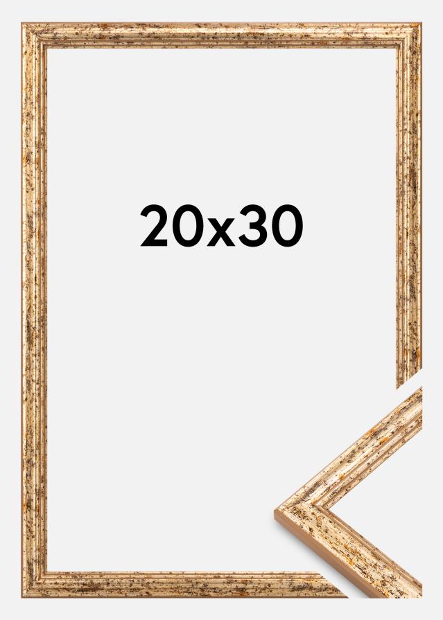 Rėmas Claudia Akrylglas Sidabras 20x30 cm