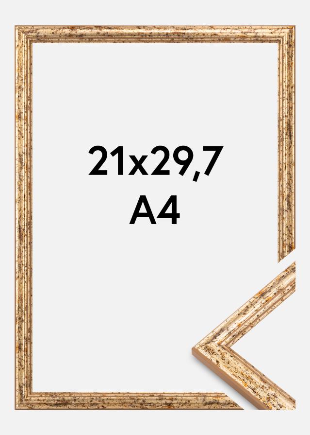 Rėmas Claudia Akrilo stiklas Sidabrinė 21x29,7 cm (A4)