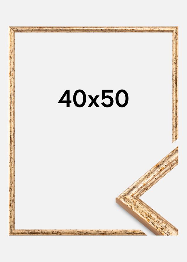 Rėmas Claudia Akrylglas Sidabras 40x50 cm