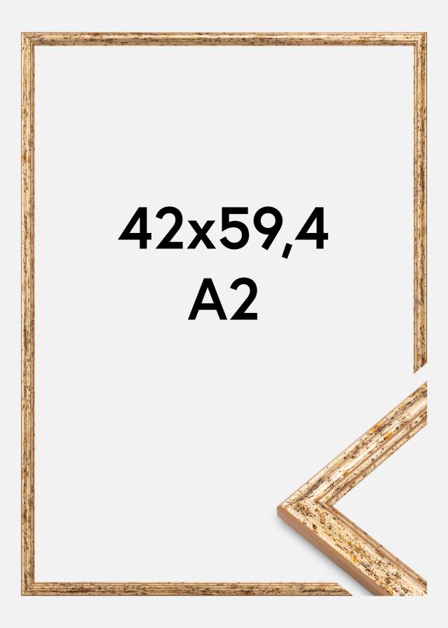 Rėmas Claudia Akrilo stiklas Sidabras 42x59,4 cm (A2)