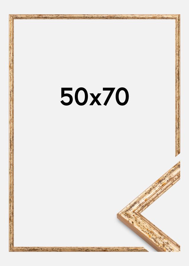 Rėmas Claudia Akrilo stiklas Sidabrinis 50x70 cm