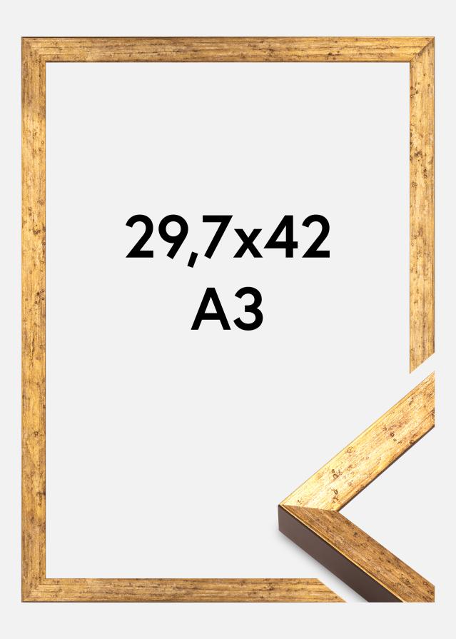 Rėmas Dune Akrilo stiklas Auksas 29,7x42 cm (A3)