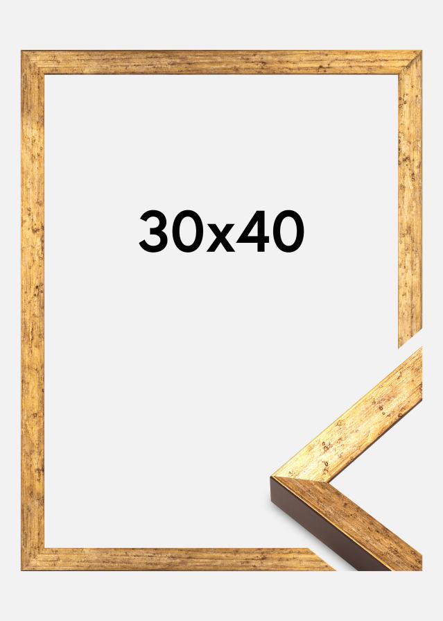 Rėmas Dune Akrilinė stiklas Aukso 30x40 cm
