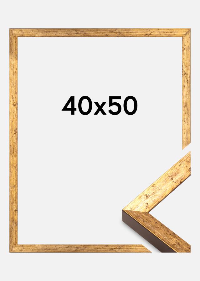 Rėmas Dune Akrylglas Auksinis 40x50 cm
