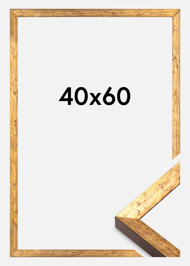 Rėmas Dune Akrilo stiklas Auksinis 40x60 cm