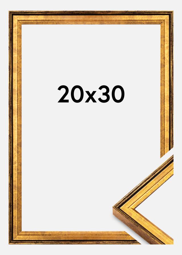 Rėmas Ringa Akrilo stiklas Auksas 20x30 cm