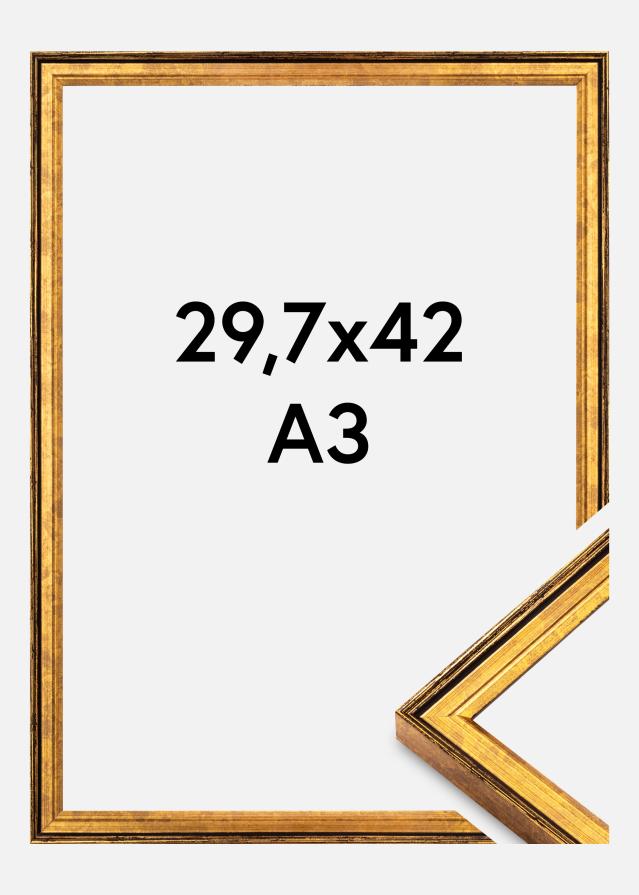 Rėmas Ringa Akrilo stiklas Auksas 29,7x42 cm (A3)