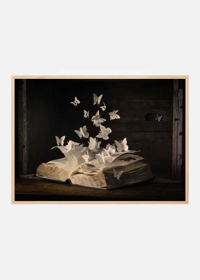 Lepidopterology Įrašai