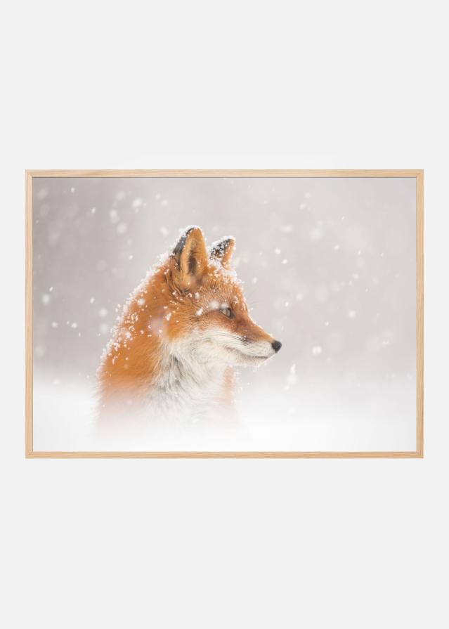 Snow is fallingab Įrašai