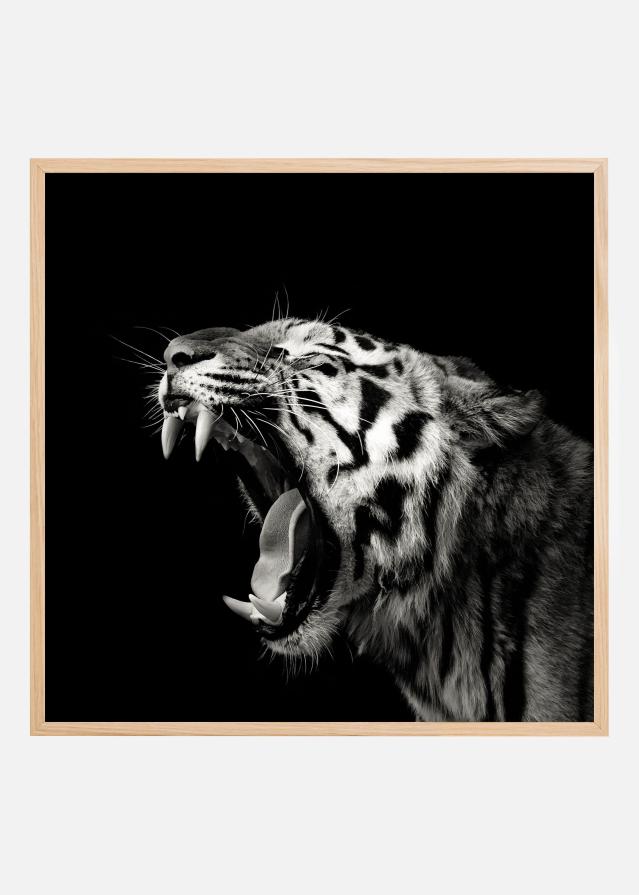 Primal Yawn #4 Įrašai