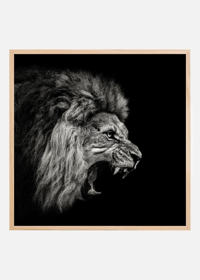 Roaring Lion #2 Įrašai