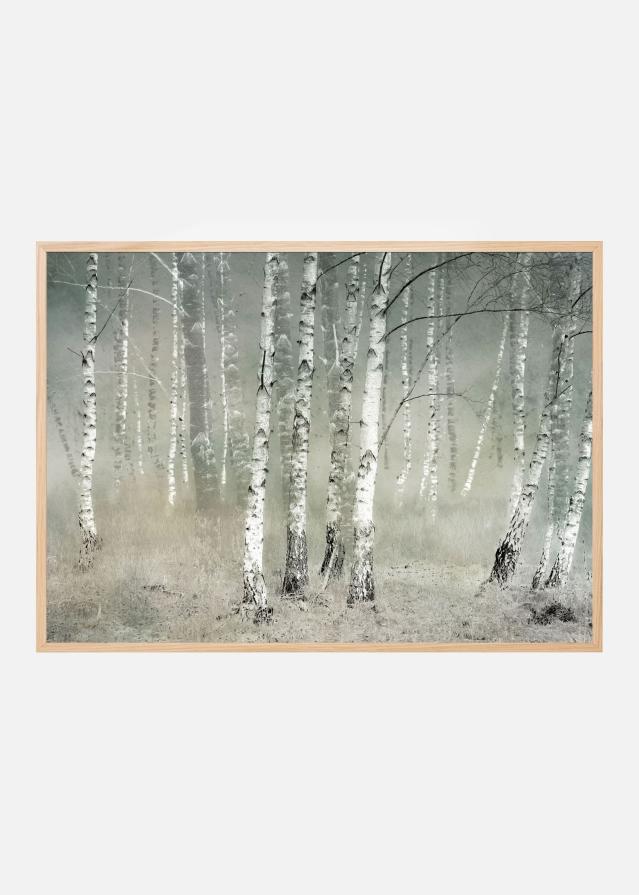 Morning silence Įrašai