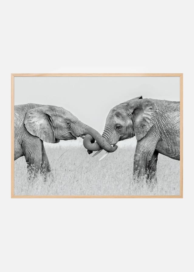 Confrontation Įrašai