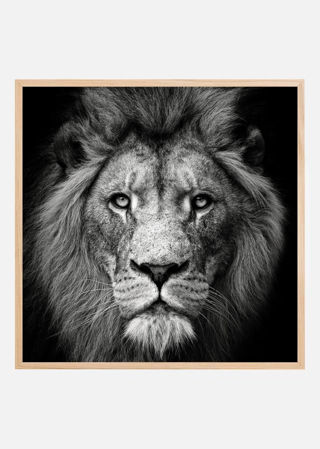 Stare Me Down #3 Įrašai