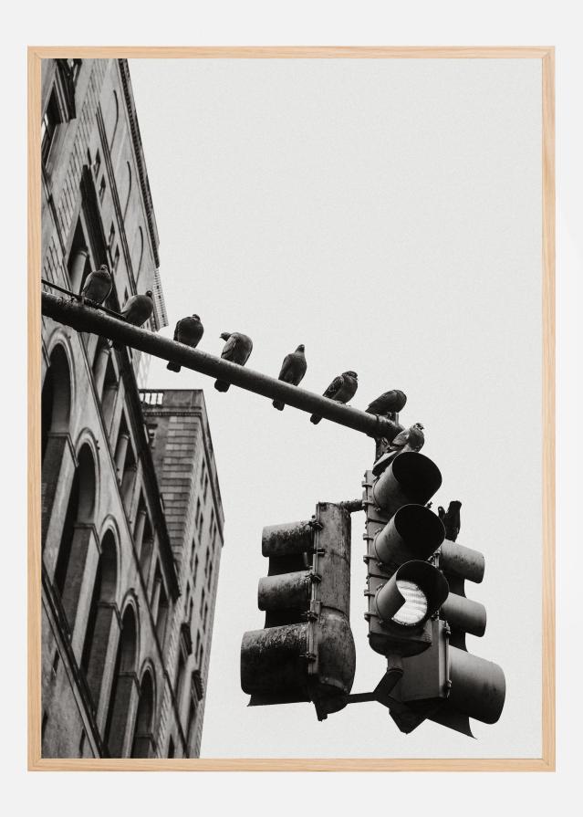 New York City Doves Įrašai