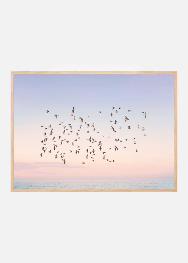 Sunset Flight Įrašai