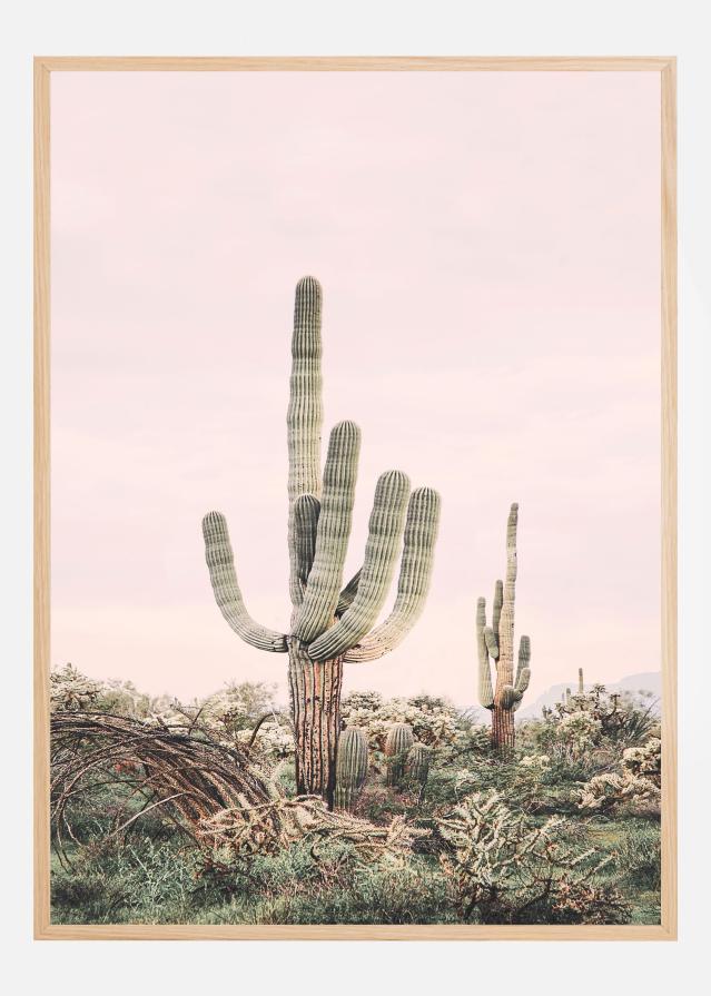 Pink Saguaro Įrašai