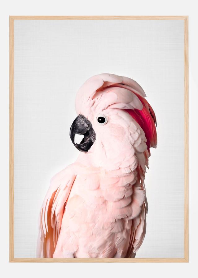 Pink Cockatoo Įrašai