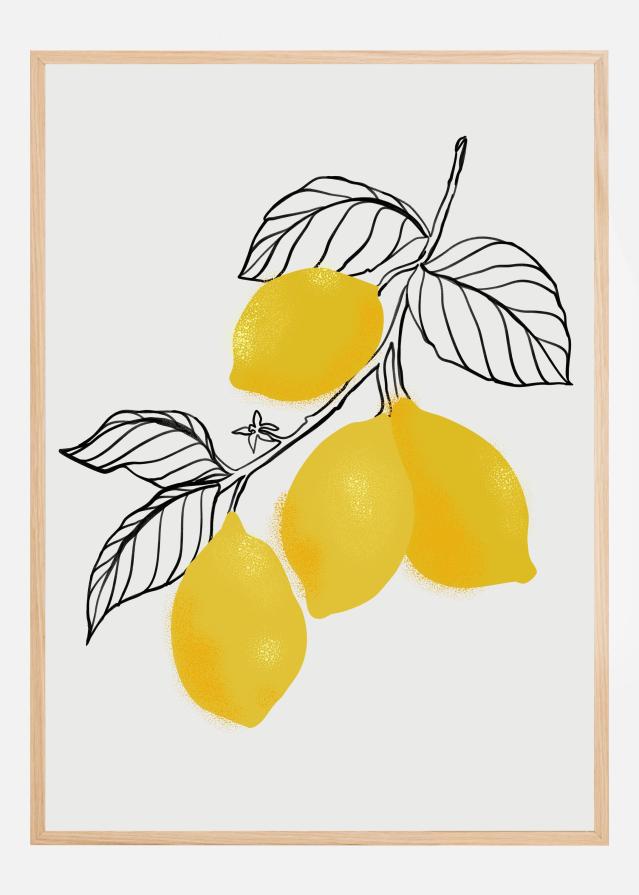 Lamya lemons Įrašai