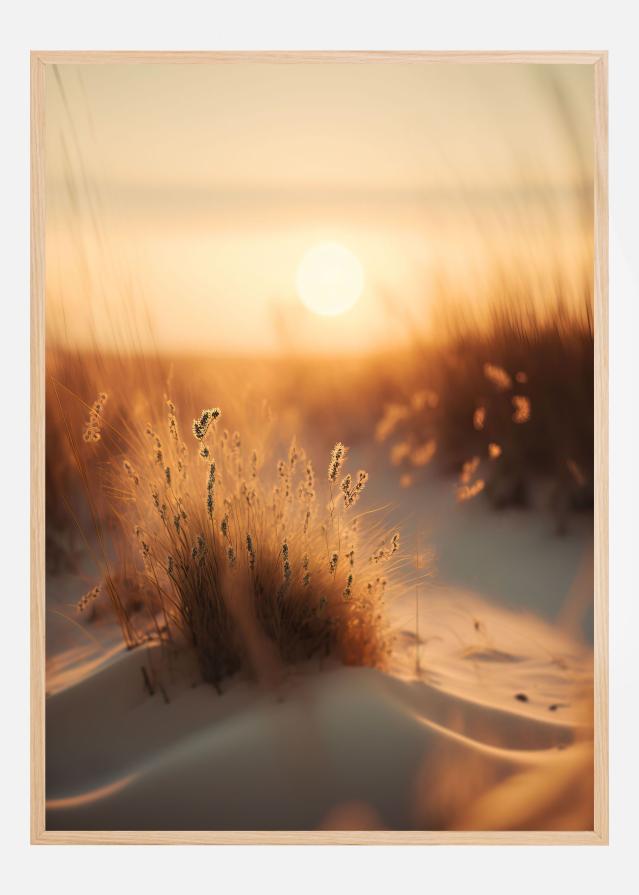 Sunset At The Beach Įrašai