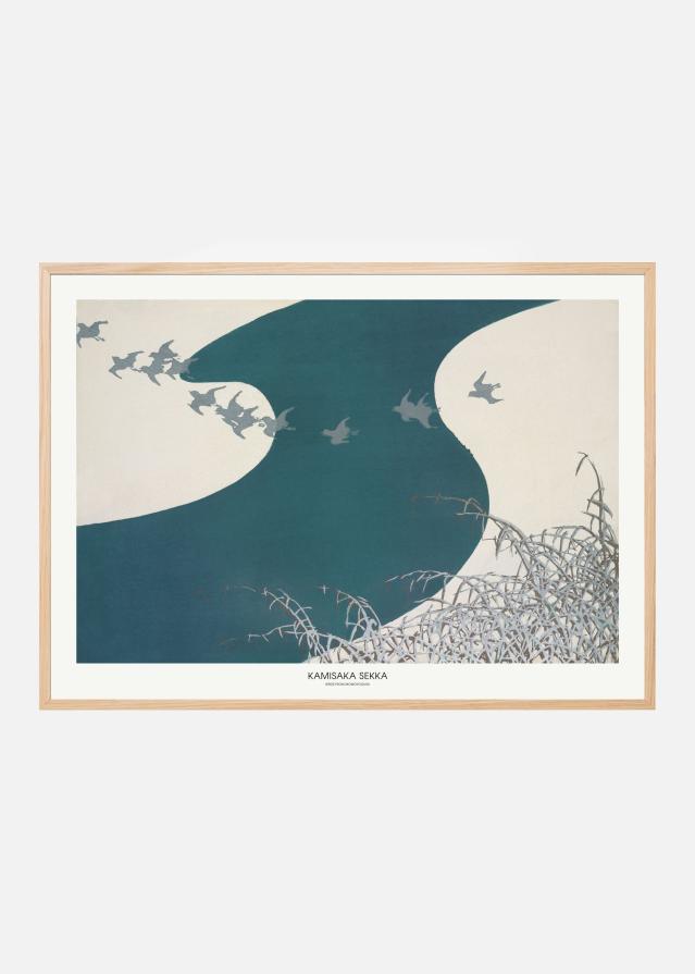 Birds From Momoyogusa Įrašai