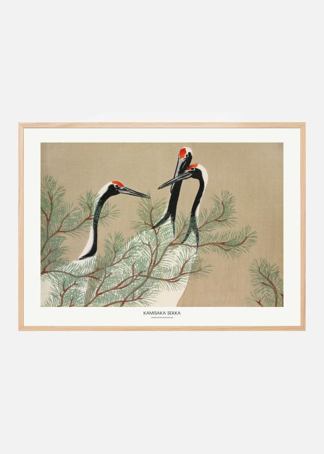 Cranes From Momoyogusa Įrašai