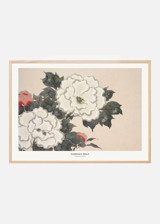 Flowers From Momoyogusa Įrašai