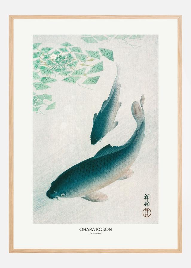 Carp Or Koi Įrašai