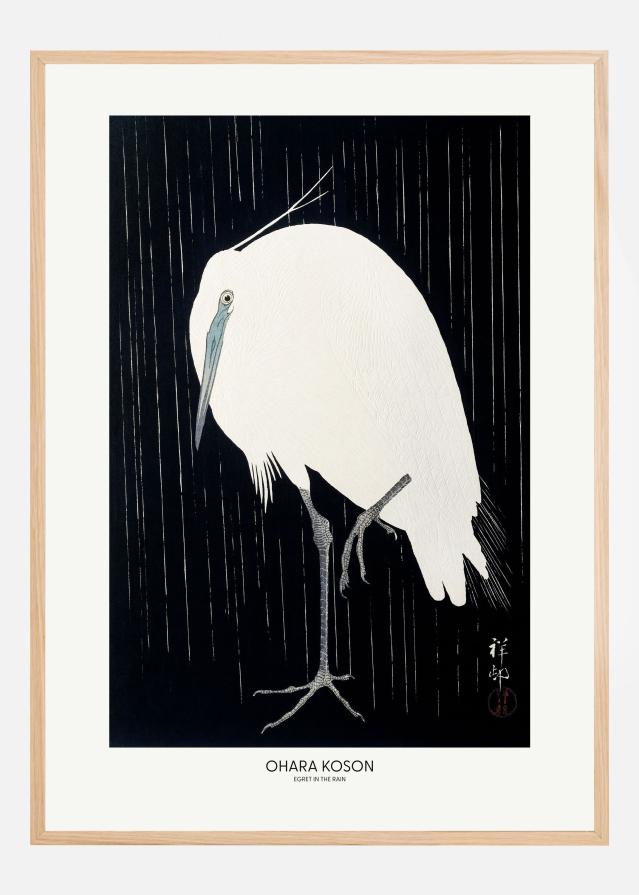 Egret In The Rain Įrašai