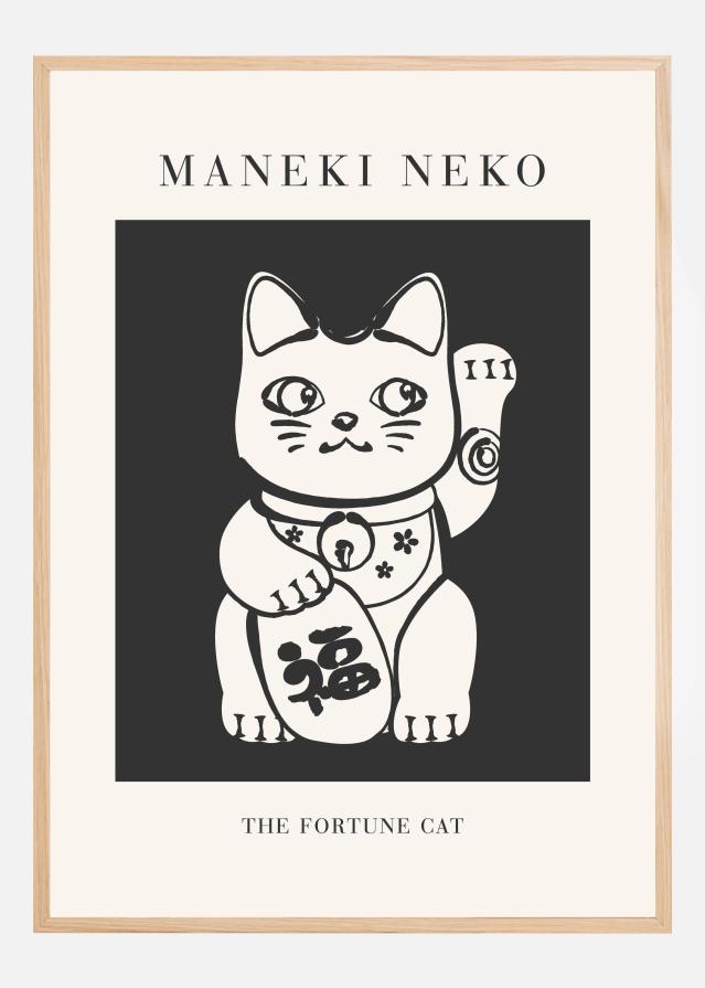 Manekineko Įrašai