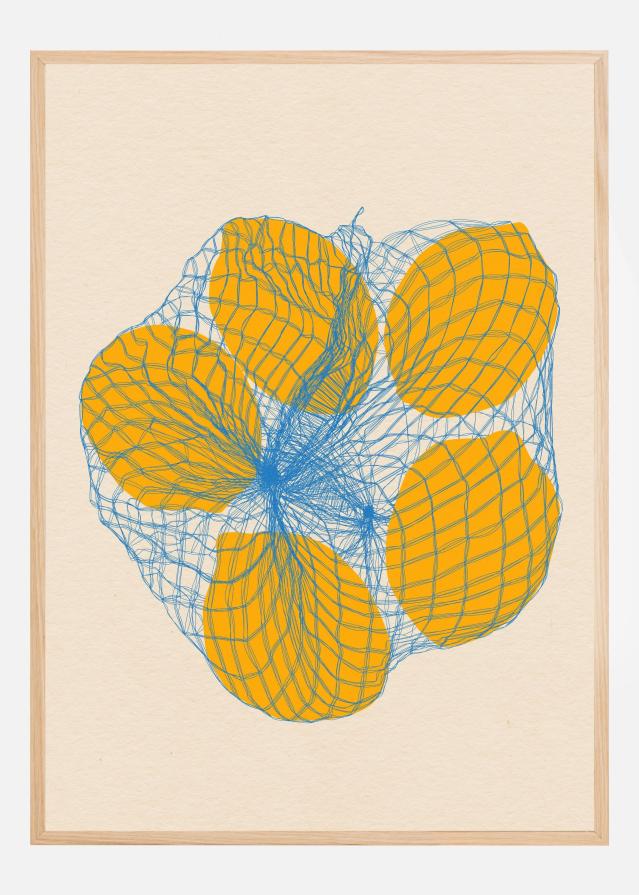 Five Lemons In a Net Bag Įrašai