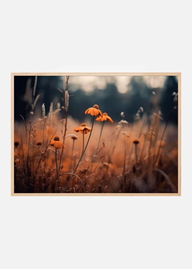 Orange Margarites Įrašai