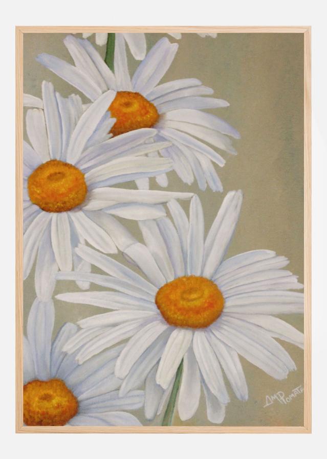 White Daisies Įrašai
