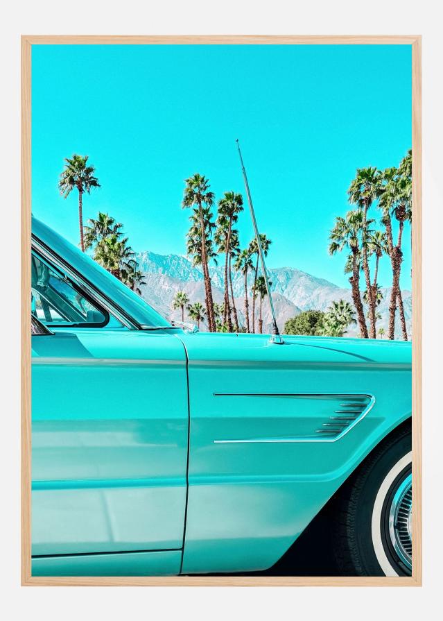 Teal Thunderbird in Palm Springs Įrašai