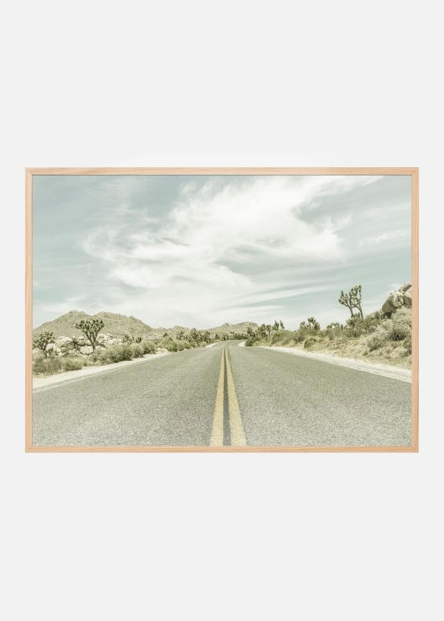 Vintage Joshua Trees Įrašai