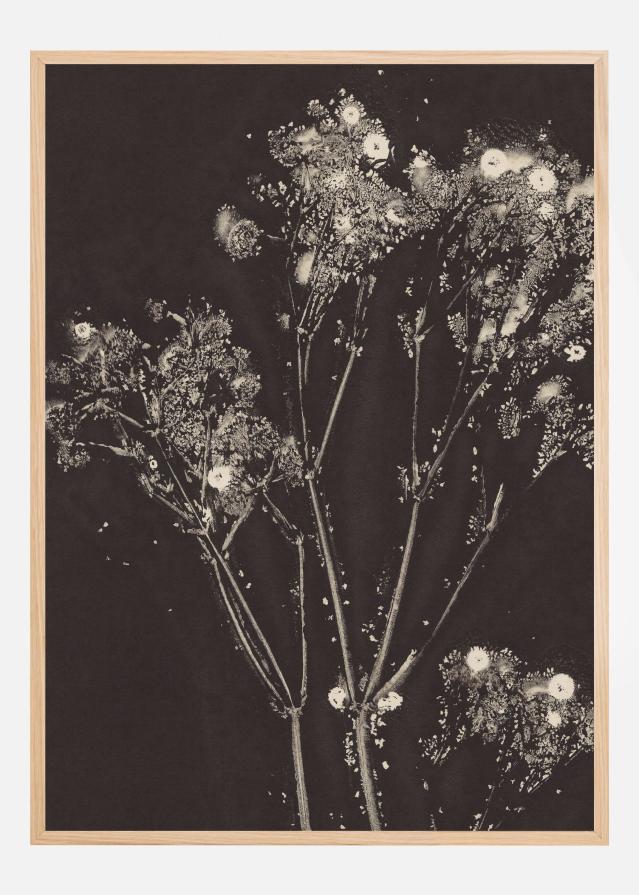 Floral Whispers Įrašai