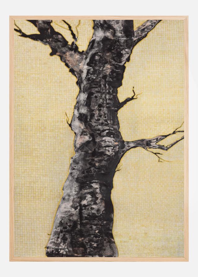 Aurum Naturae I Įrašai