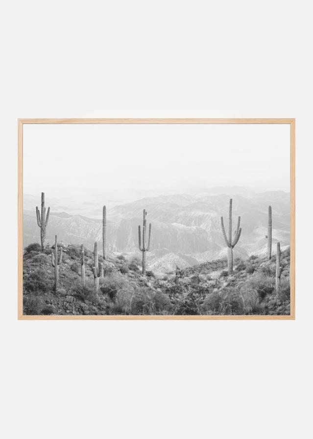 Western Cactus Įrašai