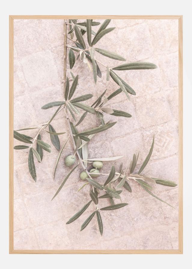 Spanish Tiles Įrašai