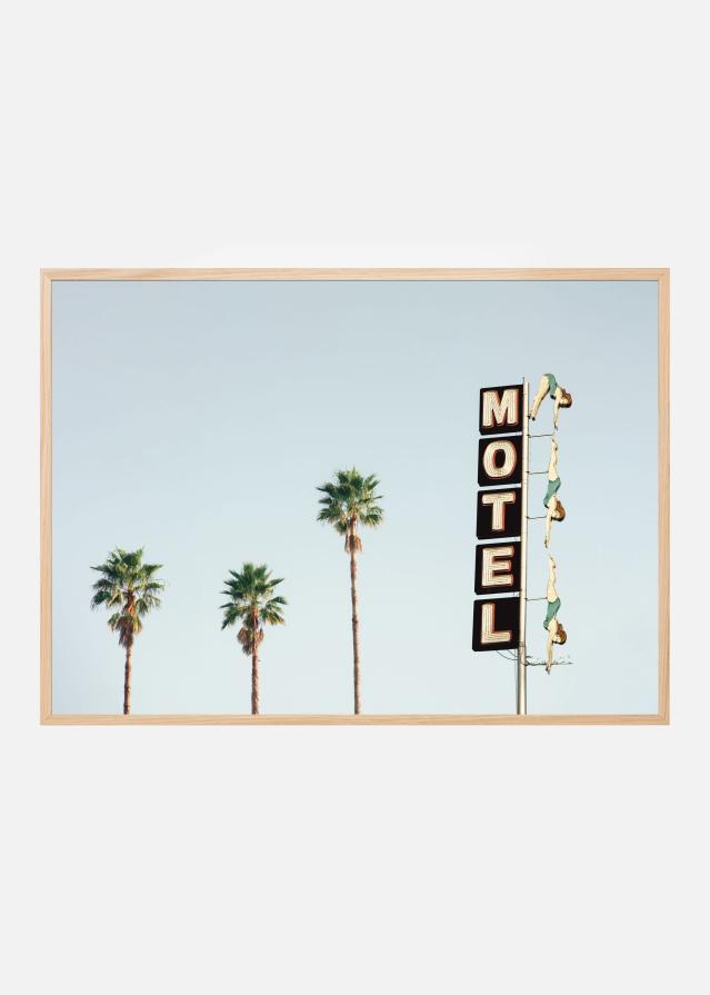 Diving Ladies Įrašai