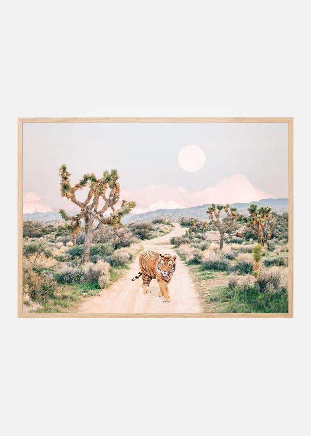 Wandering Tiger Įrašai