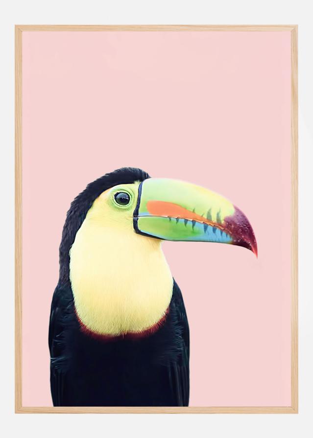 Toucan on Pink Įrašai