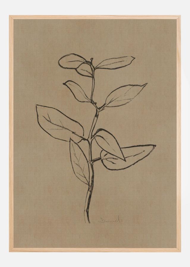 Eucalyptus Sapling Įrašai